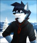  anthro black_clothing black_hair black_nose black_topwear blue_body blue_fur blue_sky cheek_tuft clothing eyewear facial_tuft front_view fur glasses glistening glistening_eyes glistening_hair grey_ears grin hair half-length_portrait hi_res inner_ear_fluff looking_at_viewer male neck_tuft outside pache_riggs plant portrait purple_eyes signature sky smile snow solo topwear tree tuft whiskers white_body white_fur white_inner_ear_fluff 