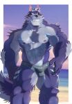  abs absurd_res anthro beach biceps blue_body blue_fur bulge canid canine canis clothing fur grin hi_res lifewonders male mammal muscular muscular_anthro muscular_male n_na7 nipples pecs seaside smile solo speedo sunset swimwear tindalos_(tas) tokyo_afterschool_summoners video_games wolf 