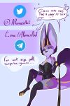  absurd_res ahmes ahmes_(ahmes) anthro canid canine clothing corset dominant dominant_female female fennec first_person_view fox hi_res leash leash_pull lingerie mammal pawpads solo speech_bubble topwear 