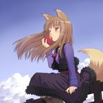  animal_ears apple blush brown_hair cloud day eating food fruit holo long_hair meow_(nekodenki) red_eyes sky solo spice_and_wolf tail wolf_ears wolf_tail 