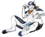 2016 animal_genitalia animal_penis anthro athletic athletic_anthro athletic_male balls black_body black_fur blue_body blue_fur blue_hair blue_penis canid canine canine_genitalia canine_penis canis domestic_dog ear_piercing ear_stud fur genitals green_eyes grey_body grey_fur hair husky i-psilone kerchief kerchief_only knot knotted_penis looking_at_viewer male male_anthro mammal mostly_nude mostly_nude_anthro mostly_nude_male nipples nordic_sled_dog pawpads penis piercing sheath simple_background smile solo spitz spread_legs spreading teeth white_background white_body white_fur white_hair
