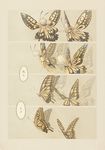  antennae bug butterfly comic insect insect_wings leaf long_hair multiple_girls narumi_arata original personification translated wings 