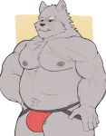  2022 anthro belly black_nose blaidd_(elden_ring) bulge canid canine canis clothing cute_fangs elden_ring fromsoftware grey_body hi_res jockstrap kemono male mammal moobs navel nipples overweight overweight_male scar simple_background solo underwear video_games whitebeast20 wolf 