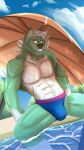  absurd_res anthro arkentian_idiot beach canid canine canis clothing hi_res jock looking_at_viewer male male/male mammal muscular muscular_anthro muscular_male seaside solo underwear wolf 