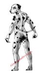  anthro black_and_white butt canid canine canis dalmatian domestic_dog exposed hi_res male mammal monochrome nude nude_model nude_pose solo 