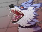  ambiguous_gender bandai_namco bodily_fluids canid canine canis chain chain_leash collar control_collar dark_ring digimon digimon_(species) feral garurumon hi_res leash mammal mind_control open_mouth raudegil red_eyes saliva slave solo wolf 