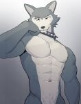  2022 abs absurd_res anthro beastars canid canine canis collar collar_only fur grey_body grey_fur hi_res jrjresq legoshi_(beastars) looking_at_viewer male mammal multicolored_body multicolored_fur muscular muscular_anthro muscular_male navel nude scar solo two_tone_body two_tone_fur white_body white_fur wolf 