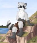  anthro black_eyebrows black_nose blue_eyes bottomwear brown_bottomwear brown_clothing brown_shorts cheek_tuft clothing elbow_tuft eyebrows facial_tuft fluffy fluffy_tail fur glistening glistening_eyes gloves_(marking) grass grey_body grey_fur grey_hair hair hi_res leg_tuft looking_at_viewer male mammal markings mouth_closed narrowed_eyes neck_tuft pache_riggs plant procyonid raccoon shorts signature sitting sky solo striped_body striped_fur striped_markings striped_tail stripes tail_markings tuft water whiskers white_body white_fur 