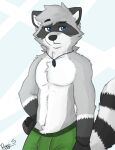  anthro black_body black_ears black_eyebrows black_fur black_nose bottomwear bulge cheek_tuft chest_tuft clothed clothing eyebrows facial_markings facial_tuft fur glistening glistening_eyes green_bottomwear green_clothing grey_body grey_fur grey_hair hair half-length_portrait head_markings hi_res inner_ear_fluff jewelry looking_at_viewer male mammal markings mask_(marking) mouth_closed narrowed_eyes necklace pache_riggs portrait procyonid raccoon raised_eyebrow shoulder_tuft signature simple_background solo topless tuft white_body white_fur white_inner_ear white_inner_ear_fluff 