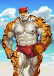  1boy abs absurdres armband bara beach biceps cloud cloudy_sky day feet_out_of_frame furry furry_male highres large_pectorals looking_at_viewer male_focus male_swimwear manly mature_male muscular muscular_male nipples ocean original pectorals sand shorts sky solo sunlight thick_arms thick_eyebrows thick_thighs thighs tiger_boy traver009 veins veiny_arms walking water whistle whistle_around_neck 