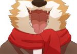  absurd_res ambiguous_gender anthro brown_body brown_fur canid canine canis countershade_face countershading dasoowolf domestic_dog fangs fur gaping_mouth hi_res male mammal mouth_shot open_mouth palate red_scarf scarf solo teeth tongue tongue_fetish tongue_out white_body white_fur 