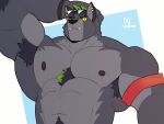  1boy abs animal_ears another_eidos-r arm_up armband armpit_hair armpits artist_name bara closed_mouth colored_sclera dated dickert_(another_eidos) eyewear_on_head fangs fangs_out furry furry_male hand_on_own_head highres looking_at_viewer lxl_art_lxl male_focus mixed-language_commentary muscular muscular_male navel nipples pectorals red_armband scar scar_across_eye scar_on_face slit_pupils sunglasses topless_male upper_body wolf_boy wolf_ears yellow_sclera 