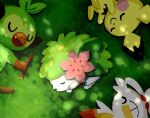  aruco_co closed_eyes closed_mouth commentary day fang grass grookey highres lying no_humans on_back on_side open_mouth outdoors pichu pokemon pokemon_(creature) scorbunny shaymin sleeping smile 