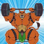 abs absurd_res activision anthro armpit_hair biceps big_muscles body_hair bracelet brown_eyes bulge clothing crash_bandicoot_(series) dasyuromorph exercise eyebrows fangs fur genitals green_clothing green_jockstrap green_underwear hairy hi_res jewelry jockstrap leather looking_up male mammal marsupial muscular muscular_anthro muscular_arms muscular_male muscular_thighs orange_body orange_fur pecs penis pubes recently_extinct_species sharp_teeth shirtless sitting solo spiked_bracelet spikes striped_body striped_fur stripes tail tail_tuft tan_body tan_fur teeth thick_eyebrows thigh_strap thylacine tiny_tiger triceps tuft underwear vaniwulf vein veiny_muscles weightlifting workout