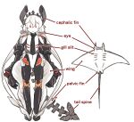  1girl abyssal_ship colored_skin comparison english_text enjaku_izuku fast_light_carrier_water_demon fish gills headgear highres kantai_collection long_hair manta_ray mechanical_tail red_eyes tail very_long_hair white_hair white_skin 