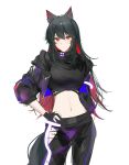  1girl absurdres ambience_synesthesia animal_ears arknights bangs black_gloves black_hair black_jacket black_pants black_shirt cowboy_shot crop_top gloves hair_between_eyes hand_on_hip highres jacket joshua_(shisanli934) long_hair long_sleeves looking_at_viewer midriff navel official_alternate_costume open_clothes open_jacket pants red_eyes shirt simple_background solo standing stomach texas_(arknights) very_long_hair white_background wolf_ears 