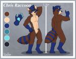  anthro black_nose blue_body blue_ears blue_eyes blue_fur blue_hair blue_pawpads border brown_body brown_fur butt cheek_tuft color_swatch crotch_tuft facial_tuft featureless_crotch front_view fur glistening glistening_eyes gloves_(marking) hair hand_on_hip hands_behind_head hi_res leg_markings looking_at_viewer male mammal markings model_sheet narrowed_eyes nude pache_riggs pawpads procyonid raccoon rear_view shadow short_hair signature simple_background smile socks_(marking) solo standing striped_body striped_fur striped_markings striped_tail stripes tail_markings tan_body tan_fur tan_inner_ear tuft 