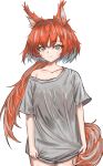  1girl absurdres animal_ears arknights blush brown_eyes collarbone cowboy_shot flametail_(arknights) grey_background grey_shirt highres long_hair looking_at_viewer naked_shirt ponytail putcho red_hair shirt simple_background smile solo squirrel_ears squirrel_girl squirrel_tail t-shirt tail 