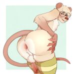  anthro anus butt clothing erection eyewear from_behind_position fur girly glasses hi_res knot legwear male mammal multicolored_body multicolored_fur murid murine psycheese rat red_eyes rodent sex solo stockings tan_body tan_fur 