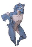  2025 ambiguous_gender anthro blue_body blue_fur canid canine canis featureless_chest featureless_crotch full-length_portrait fur fur_markings high-angle_view kunaru mammal markings navel nude_anthro open_mouth portrait simple_background solo tail white_background wolf yellow_eyes 