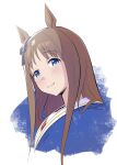  1girl animal_ears blue_eyes blush bow brown_hair closed_mouth ear_bow ear_ornament ear_ribbon grass_wonder_(umamusume) highres horse_ears horse_girl long_hair looking_at_viewer multicolored_hair portrait sailor_collar smile solo swoosh umamusume upper_body white_hair 