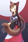  1girl animal_ears black_capelet black_sleeves brown_hair capelet commentary_request dress expressionless feet_out_of_frame gem grey_shirt imaizumi_kagerou light_blush long_hair looking_down mito_tsubaki red_brooch red_dress red_eyes red_gemstone shirt solo tail three-toned_background touhou wolf_ears wolf_girl wolf_tail 
