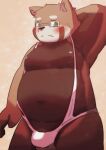  2022 ailurid anthro belly blush brown_body bulge clothing eyewear glasses green_eyes hi_res humanoid_hands kemono male mammal moobs navel nipples overweight overweight_male pixiv_id_54092237 red_panda solo underwear 