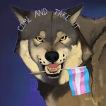 1:1 angry bared_teeth blue_background brown_body brown_fur canid canine canis english_text feral flag flag_(object) frown fur hi_res holding_flag holding_object holding_object_in_mouth lgbt_pride looking_at_viewer male mammal northwestern_wolf pride_colors scowl simple_background solo spookyfigures text transgender_pride_colors wolf