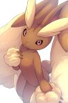2025 3_fingers ambiguous_anthro ambiguous_gender anthro biped black_sclera blonde_eyebrows brown_body brown_ears brown_fur eyebrows featureless_chest fingers floppy_ears fur generation_4_pokemon hi_res huge_ears lagomorph looking_at_viewer lop_ears lopunny mammal mouth_closed multicolored_body multicolored_ears multicolored_fur nintendo nude nude_ambiguous nude_anthro pink_eyes pink_nose pokemon pokemon_(species) pupils rumine simple_background solo standing tail tan_body tan_ears tan_fur tan_tail thick_eyebrows two_tone_body two_tone_ears two_tone_fur white_background