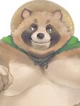  2022 anthro belly big_belly black_nose brown_body canid canine clothing hat headgear headwear hi_res humanoid_hands kemono male mammal moobs overweight overweight_male raccoon_dog salz_sop simple_background solo tanuki 