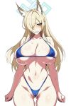  1girl absurdres animal_ear_fluff animal_ears bikini blonde_hair blue_archive blue_bikini blue_eyes blue_halo breasts cameltoe clenched_teeth cowboy_shot dog_ears extra_ears hair_over_one_eye halo highres huge_breasts kanna_(blue_archive) long_hair looking_at_viewer navel partially_visible_vulva simple_background skindentation solo stomach swimsuit teeth wessidesuyo 