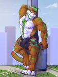  3:4 anthro balls_outline building building_destruction bulge clothed clothing destruction detailed_bulge ear_piercing ear_ring felid front_view fur genital_outline glistening glistening_eyes green_eyes green_hair grin hair looking_aside macro male mammal markings muscular muscular_anthro muscular_male nipples orange_body orange_fur pantherine pecs penis_outline piercing ring_piercing short_hair smile solaxe_(artist) solo standing striped_arms striped_legs striped_markings striped_tail stripes tail tail_markings tiger tigmint topless white_body white_fur 