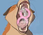aurorabound blue_eyes bodily_fluids canid canine cookie dripping extreme_size_difference food fox fur grey_body grey_fur hi_res mammal micro mouse mouth_shot murid murine open_mouth oral_vore orange_body orange_fur rodent saliva saliva_drip saliva_on_face saliva_on_tongue saliva_string size_difference tongue vore white_body white_fur