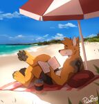  anthro beach beverage black_bottomwear black_clothing blue_sky bottomwear brown_nose canid clothed clothing cloud crossed_legs fur glistening glistening_eyes grey_body grey_fur grey_pawpads hair hi_res male mammal narrowed_eyes orange_body orange_fur orange_hair outside pache_riggs pawpads pillow reclining red_eyes red_pillow seaside short_hair side_view signature sky solo topless white_body white_fur 