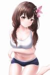  1girl absurdres arm_under_breasts bangs breasts brown_eyes brown_hair closed_mouth hair_between_eyes highres hololive large_breasts long_hair looking_at_viewer navel riri_yo short_shorts shorts simple_background solo tokino_sora twintails virtual_youtuber white_background 