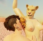 3d_(artwork) africa anthro areola armpit_fetish armpit_hair armpit_lick armpit_musk armpit_play armpit_sniffing armpit_worship bodily_fluids body_hair body_worship breasts desert digital_media_(artwork) dominant dominant_anthro dominant_female ear_piercing ear_ring felid female forced hi_res human humanoid lasersloth42 licking lion male male/female mammal nipples oral pantherine piercing ring_piercing savanna sniffing submissive submissive_human submissive_male tongue tongue_out