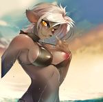  blush breasts clouds color_enhanced furry highres looking_at_viewers middle_finger nipple short_hair silver_hair sky smile solo sunset sunshine swimsuit tsampikos undressing water wet yellow_eyes 