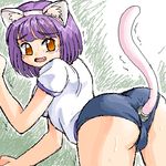  lowres tagme tanuki_gakuen 