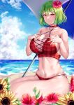  1girl beach bikini breasts camellia cloud daisy day flower green_hair hair_flower hair_ornament hibiscus highres holding holding_flower kazami_yuuka large_breasts mirufui ocean orange_flower plaid plaid_bikini red_flower sky sunflower sunflower_hair_ornament swimsuit touhou yellow_flower 