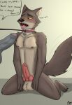  2022 anthro balls blush bodily_fluids brown_body canid canine canis collar dialogue digital_media_(artwork) dog_tags dreamworks duo erection fur genitals good_boy hands_on_thighs imminent_oral kneeling leash male mammal mono-fur mr._wolf_(the_bad_guys) nipples nude off_screen_character open_mouth paws penis saliva simple_background speech_bubble submissive sweat sweatdrop tail_motion tailwag tan_body tan_fur text the_bad_guys tongue whining wolf yellow_eyes 