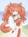  1girl absurdres aegyo_sal angelina_(arknights) angelina_(summer_flower)_(arknights) animal_ears arknights beach black_collar blackshibainu breasts brown_hair chain chain_bracelet chain_necklace collar commentary_request covered_navel day dot_nose fox_ears fox_girl fox_tail hair_between_eyes hair_ribbon highres impossible_clothes impossible_swimsuit infection_monitor_(arknights) jewelry long_hair looking_at_viewer medium_breasts mixed-language_commentary necklace ocean official_alternate_costume one-piece_swimsuit orange_eyes outdoors own_hands_together red_one-piece_swimsuit red_ribbon ribbon smile solo spaghetti_strap steepled_fingers swimsuit swimsuit_cover-up tail twintails upper_body wrinkled_fabric 