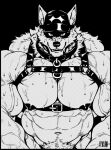 abs anthro black_and_white black_clothing black_hat black_headwear bodily_fluids bondage_gear canid canine canis chest_strap clothing collar grin harness hat headgear headwear looking_at_viewer male mammal monochrome muscular muscular_anthro muscular_male muscular_pecs revelion smile solo straps sweat sweaty_arms sweaty_chest sweaty_face veiny_arms wolf
