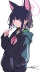  1girl animal_ear_fluff animal_ears black_choker black_hair black_hoodie blue_archive candy choker commentary_request food hair_ornament hairclip halo hand_in_pocket highres holding holding_candy holding_food holding_lollipop hood hood_down hoodie kazusa_(blue_archive) koshka_pic lollipop long_sleeves looking_at_viewer pink_eyes short_hair signature simple_background solo white_background 