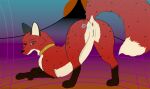 anus butt butt_kiss canid canine collar female feral fox fur genitals hi_res kiss_mark mammal ninafoxxo presenting presenting_anus presenting_hindquarters presenting_vulva red_body red_fur sebille_(lavamouse) solo vulva