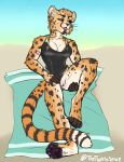  absurd_res anthro big_breasts blep breasts cheetah clothing djikki felid feline female genitals hi_res in_heat mammal mother muscular narrowed_eyes parent paws pussy raised_leg revealing_clothes solo swimwear tigerinspace tongue tongue_out whiskers 