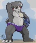  5:6 absurd_res anthro bandai_namco bearmon belly belt bulge claws clothing digimon digimon_(species) fur grey_body grey_fur heibanhikaru hi_res looking_at_viewer male mammal pecs scar short_stack solo speedo swimwear ursid yellow_eyes 