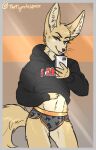  absurd_res athletic belly big_ears blep border camera canid canine eyelashes female fennec fluffy fluffy_tail fox grey_border hi_res mammal matthews(razumi) mirror narrowed_eyes neck_tuft smile smirk solo swaying_hips sweatshirt tigerinspace tongue tongue_out tuft whiskers 