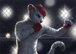  anthro boxing defensive fingerless_(disambiguation) finnian_ennis flashing fur green keumano male pink pose red solo sport white 