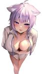  1girl ahoge animal_ear_fluff animal_ears arm_under_breasts bangs blush breasts cat_ears cat_girl collar commentary fang hair_between_eyes hololive large_breasts long_sleeves looking_at_viewer nekomata_okayu no_bra no_pants parted_lips partially_unbuttoned purple_eyes purple_hair shirt short_hair skin_fang solo tako_8_yaki virtual_youtuber white_background 