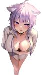  1girl ahoge animal_ear_fluff animal_ears arm_under_breasts bangs blush breasts cat_ears cat_girl collar commentary fang hair_between_eyes highres hololive large_breasts long_sleeves looking_at_viewer nekomata_okayu no_bra no_pants parted_lips partially_unbuttoned purple_eyes purple_hair shirt short_hair skin_fang solo tako_8_yaki virtual_youtuber white_background 